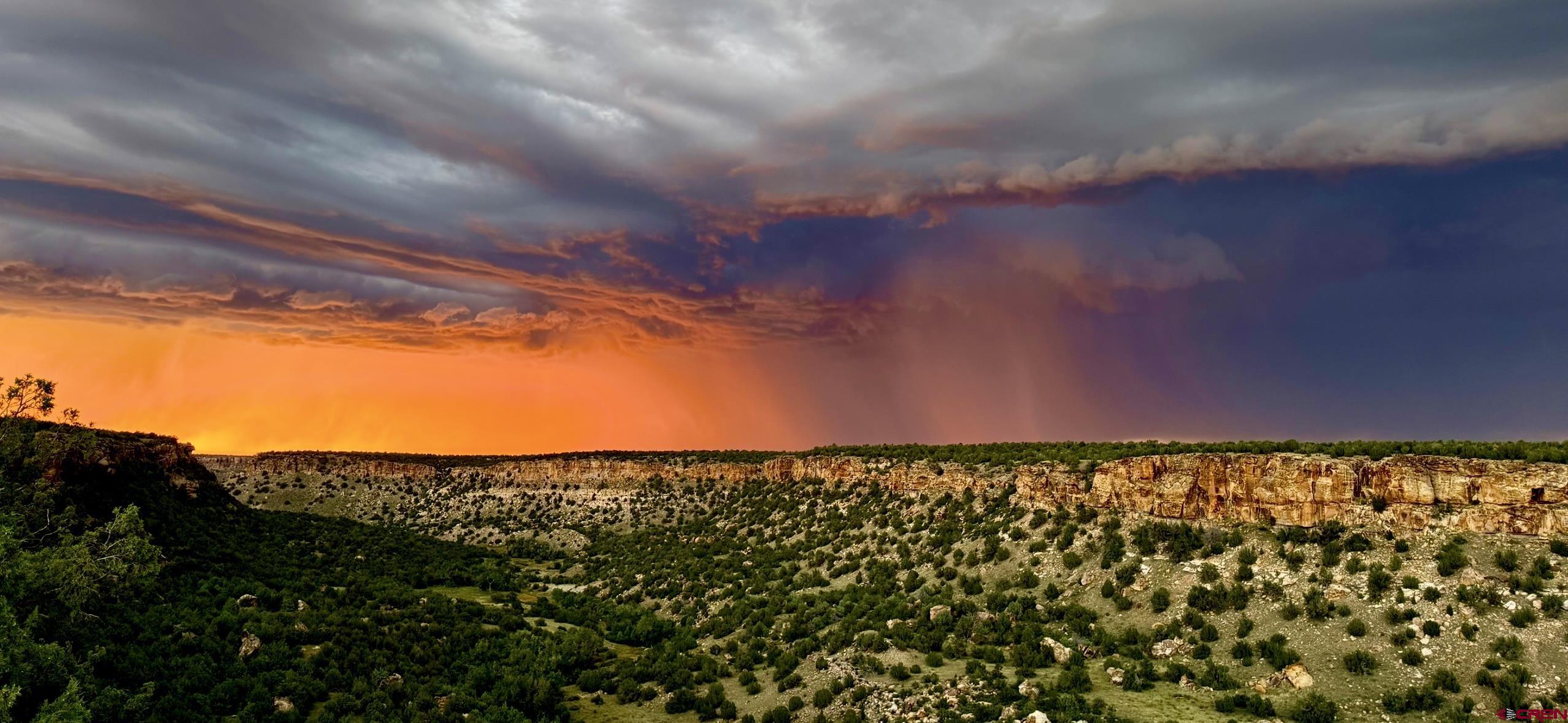 0 County Road 40.2, Unit POITRY CANYON RANCH Branson, CO 81027 - Photo 6 of 45 a view of a multi story yard