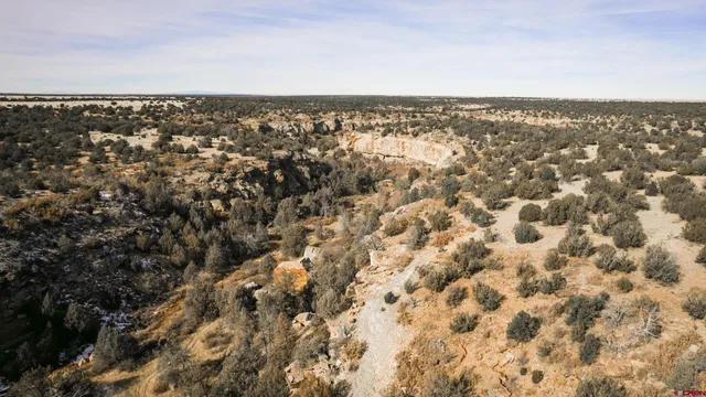 an aerial view of residential houses with city view