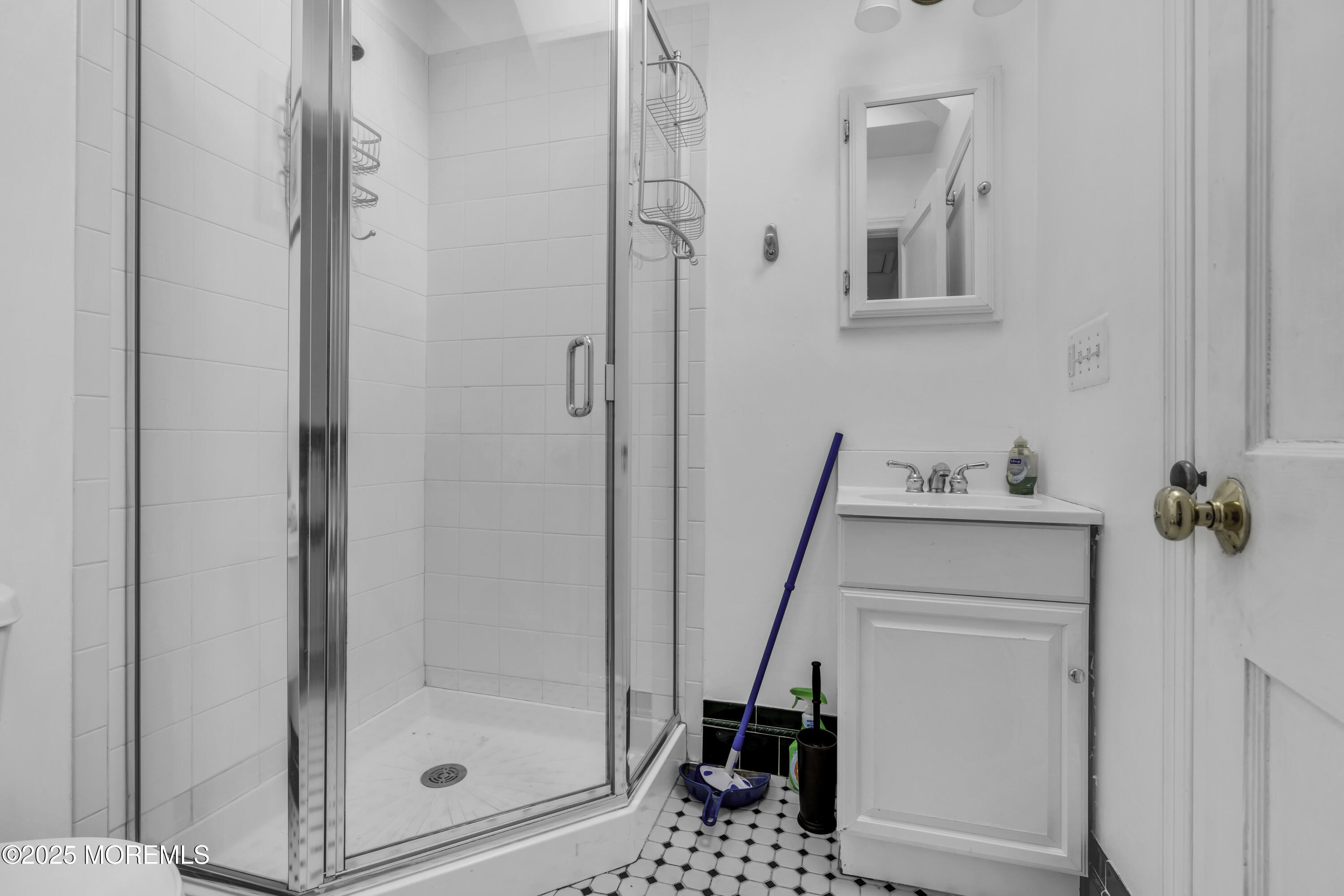 326 South Boulevard Spring Lake, NJ 07762 - Photo 35 of 54 a bathroom with a shower and a sink