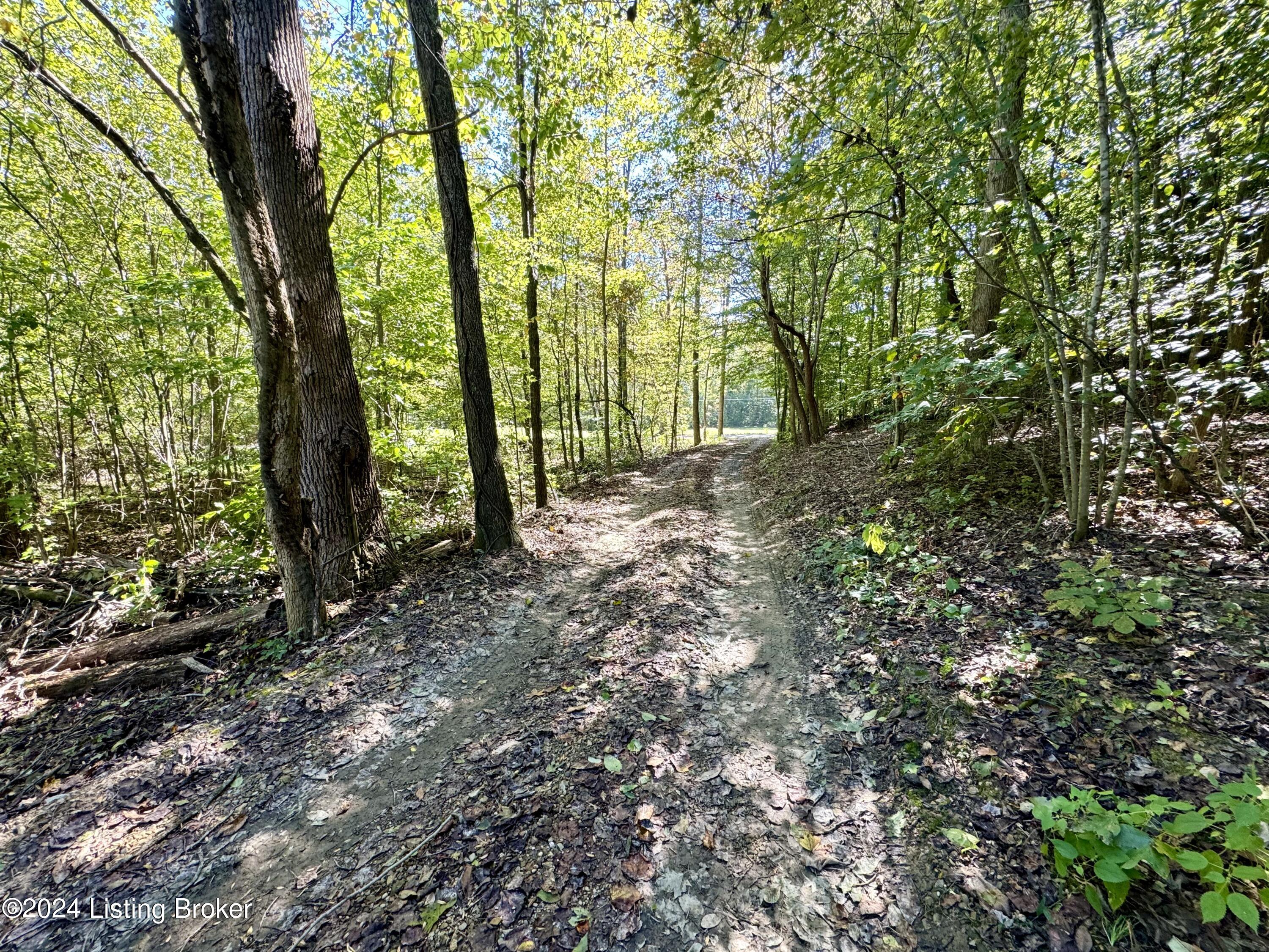 2346 Sulphur Lick Road New Hope, KY 40052 - Photo 35 of 35 IMG_0097