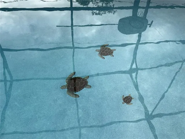 $329,800 | 563 Chestnut Court, Deltona, FL 32725