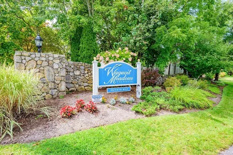 a view of a back yard