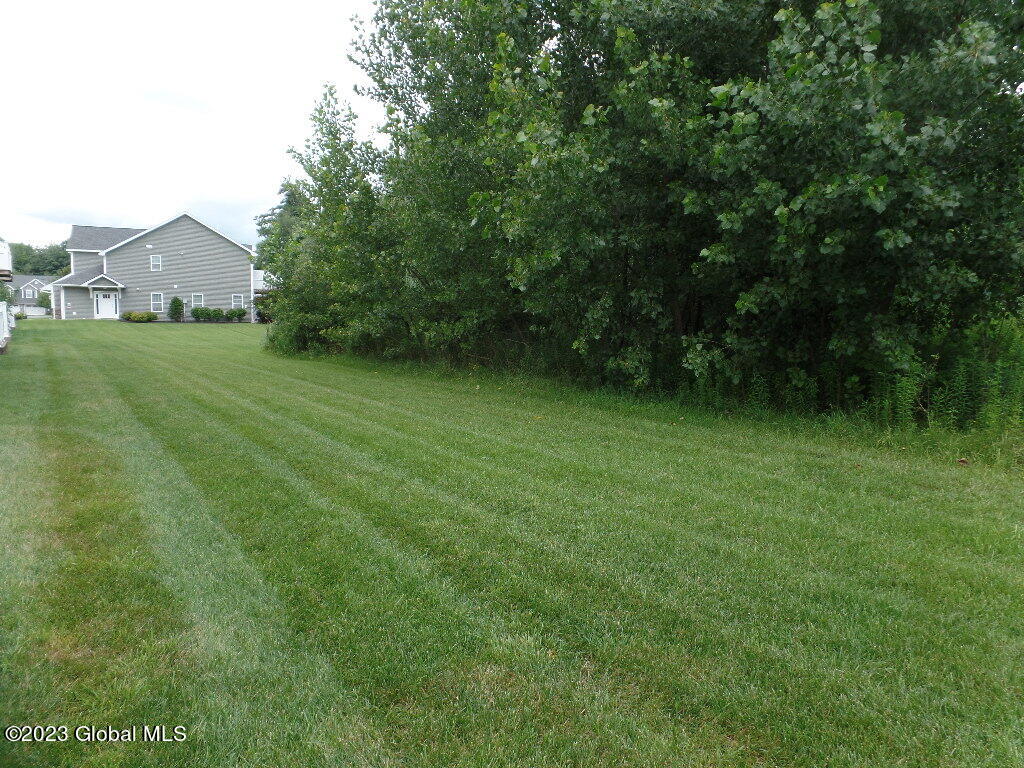 164 Paddock Circle Rotterdam, NY 12306 - Photo 40 of 53 SAM_4347 (1)