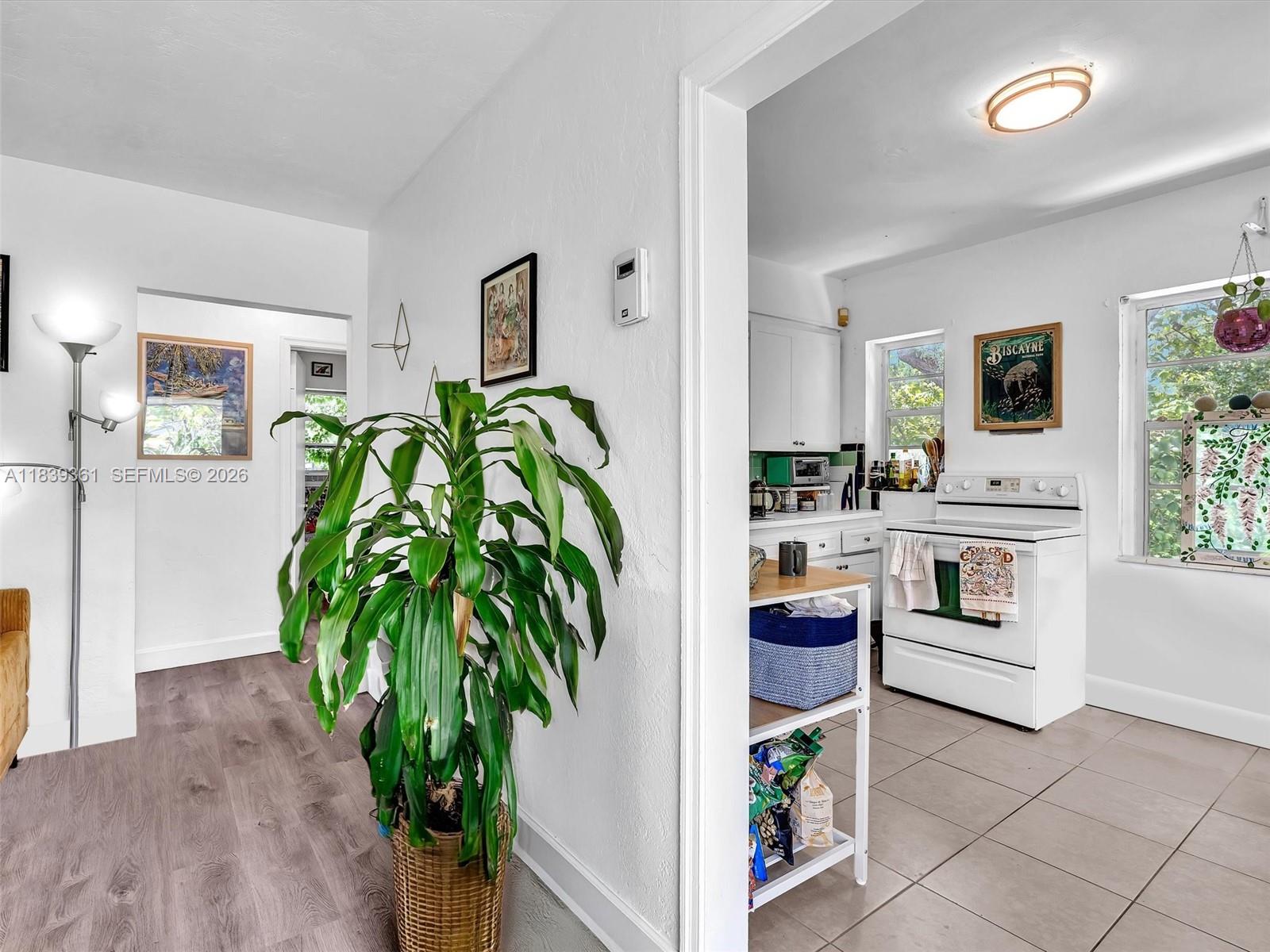 3210 Elizabeth Street Miami, FL 33133 - Photo 24 of 69 a living room with furniture and a potted plant