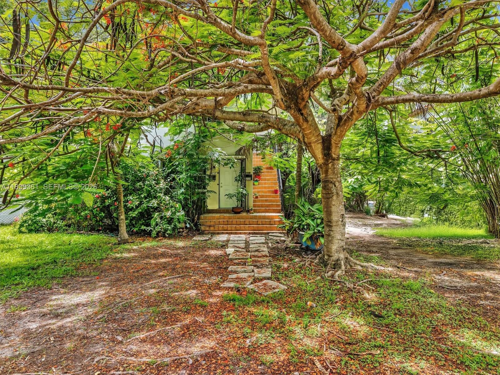 3210 Elizabeth Street Miami, FL 33133 - Photo 34 of 69 a view of a yard with plants and trees