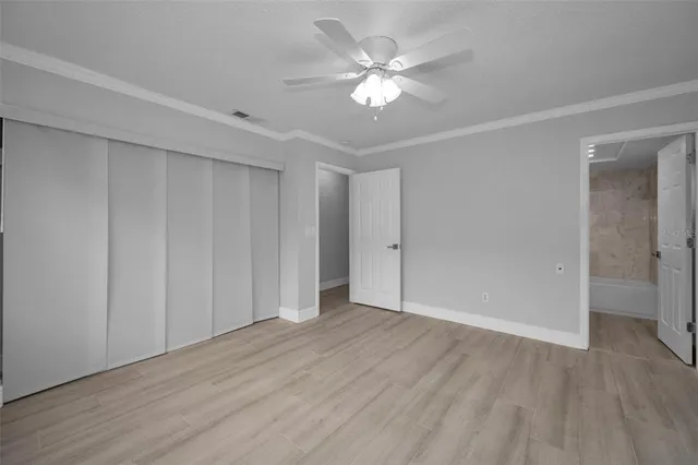 a view of a yard with a large tree