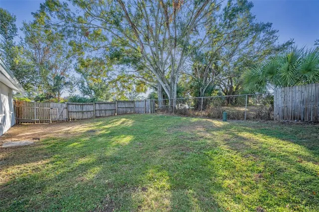 a view of a park with large trees