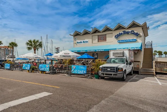 $3,000 | 1502 Cottonwood Terrace, Dunedin, FL 34698