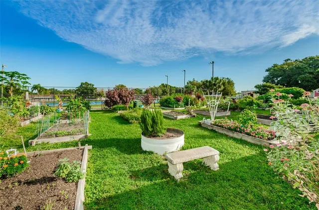 $3,000 | 1502 Cottonwood Terrace, Dunedin, FL 34698