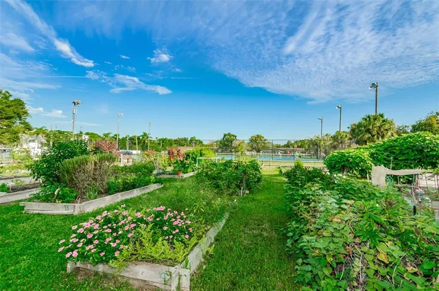 $3,000 | 1502 Cottonwood Terrace, Dunedin, FL 34698