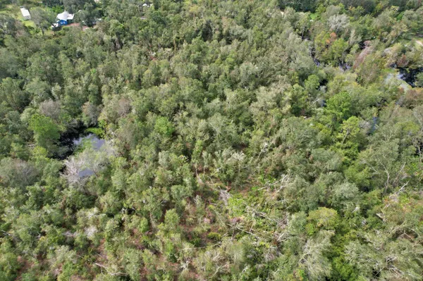 $25,000 | 3 Tbd, Mayo, FL 32066