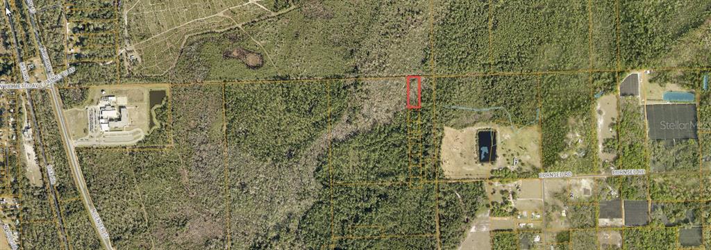 Pine Street Pierson, FL 32180 - Photo 2 of 2