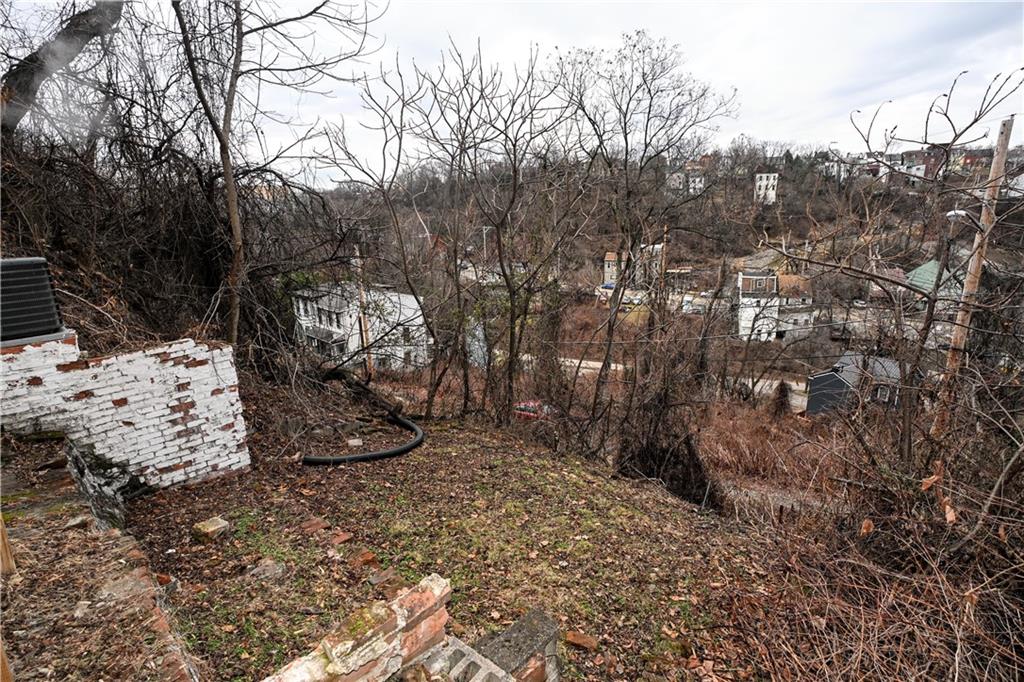 417 Lawn Street Pittsburgh, PA 15213 - Photo 7 of 26 a view of a yard