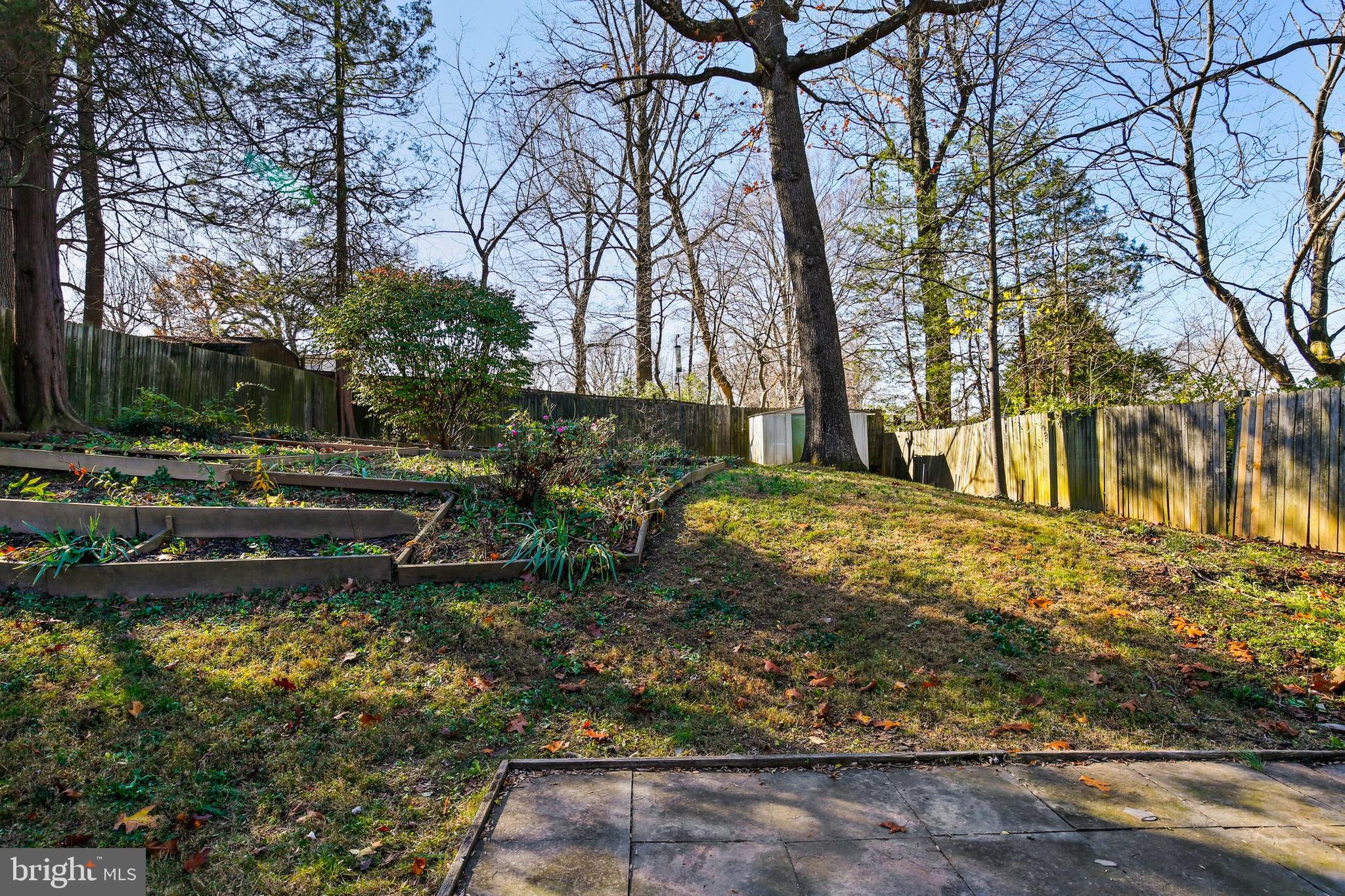 11518 Mapleview Drive Silver Spring, MD 20902 - Photo 35 of 38