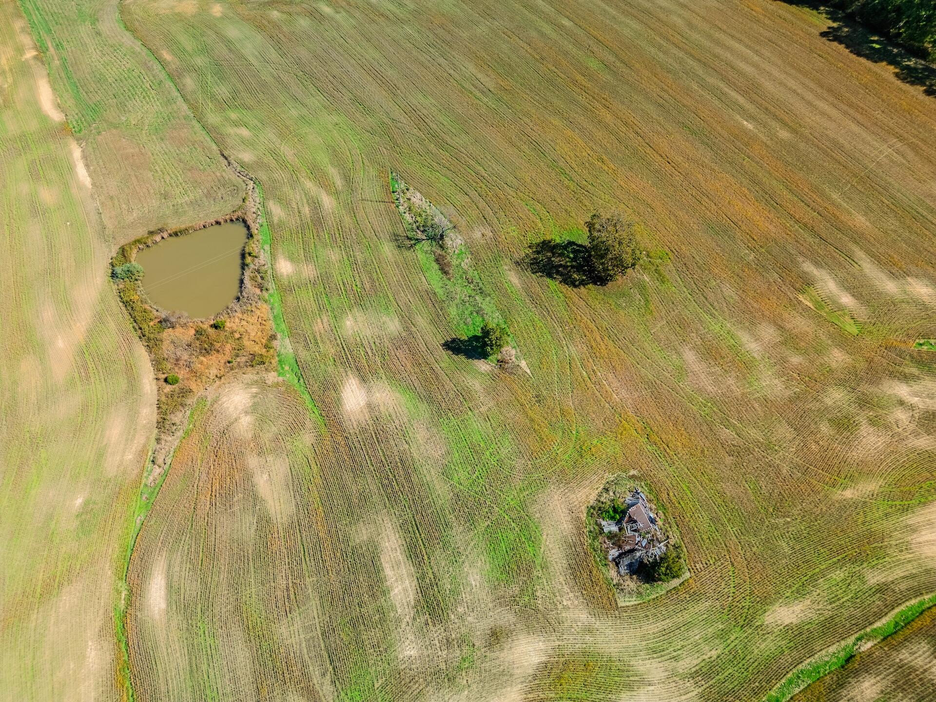 0 Story Branch Road Hillsboro, KY 41049 - Photo 18 of 19 DJI_0487-HDR