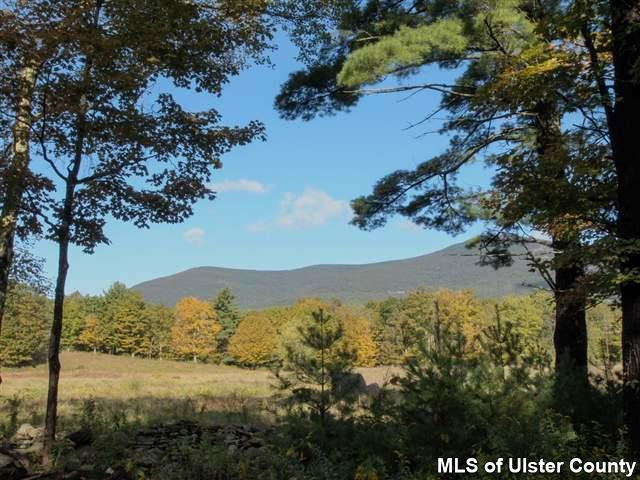 72 Wegabauer Road Saugerties, NY 12477 - Photo 30 of 34 Photo 30