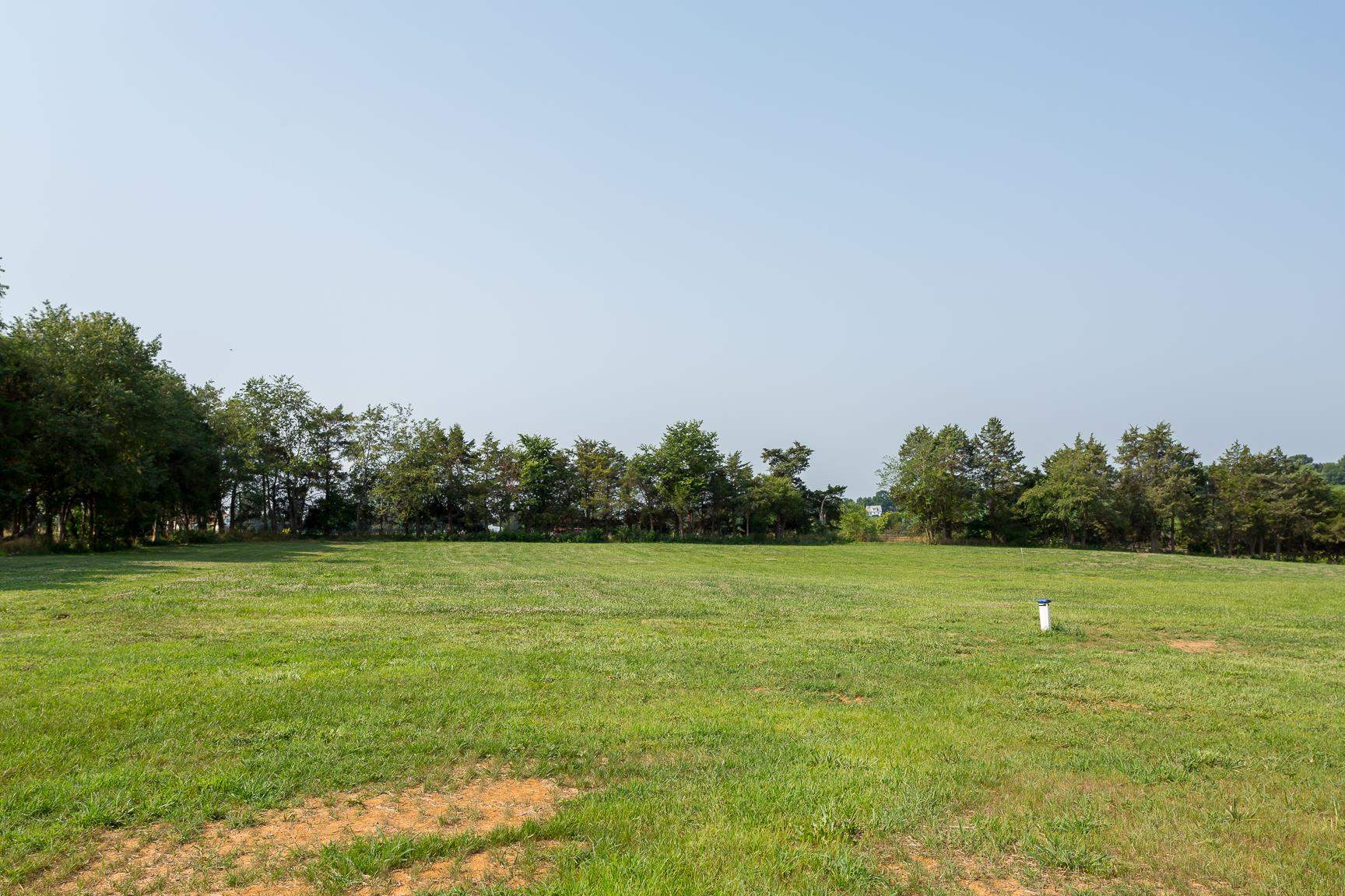 297 Battlefield Road Waynesboro, VA 22980 - Photo 60 of 61 a view of a field with trees in the background