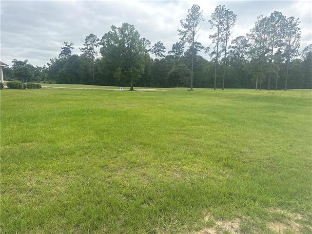 30684 Blue Wing Crescent Springfield, LA 70462 - Photo 1 of 5