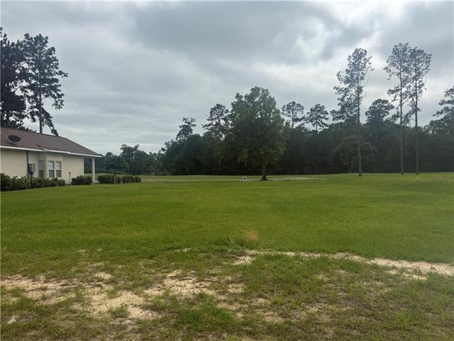 30684 Blue Wing Crescent Springfield, LA 70462 - Photo 2 of 5
