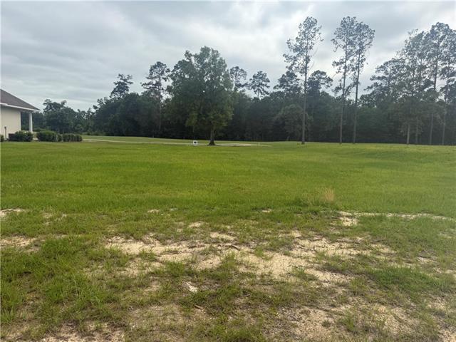30684 Blue Wing Crescent Springfield, LA 70462 - Photo 3 of 5