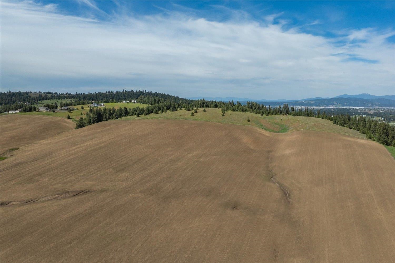 -xxx South Jackson Road Mica, WA 99023 - Photo 12 of 50