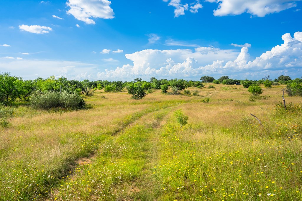 0 County Road Llano, TX 78643 - Photo 14 of 45