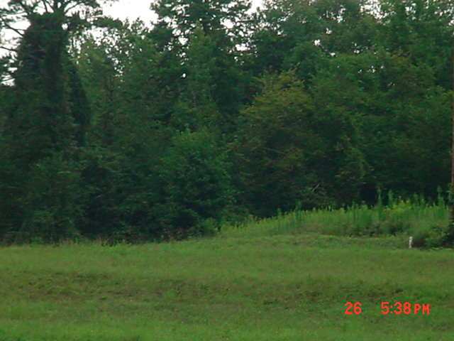 4 Bailey Mill Road Travelers Rest, SC 29690 - Photo 1 of 8 Gallery Image 1
