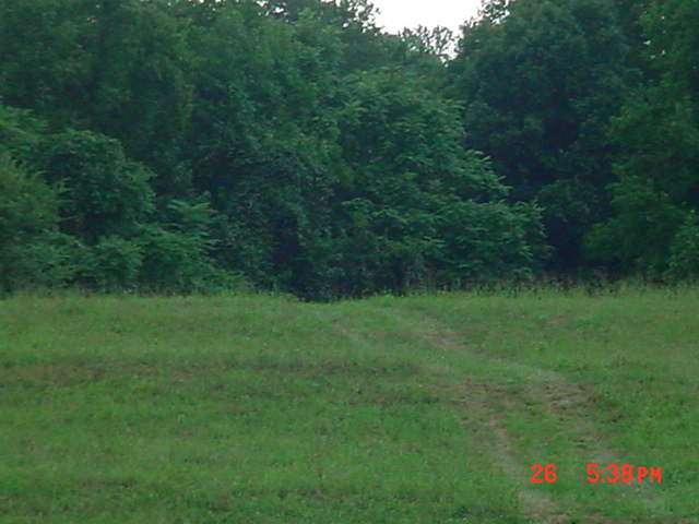 4 Bailey Mill Road Travelers Rest, SC 29690 - Photo 2 of 8 Gallery Image 2