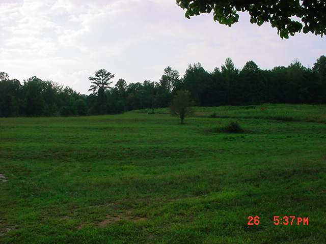 4 Bailey Mill Road Travelers Rest, SC 29690 - Photo 4 of 8 Gallery Image 4