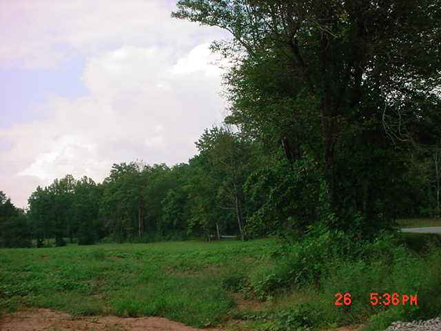 4 Bailey Mill Road Travelers Rest, SC 29690 - Photo 7 of 8 Gallery Image 7