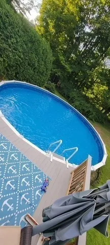 a view of a yard with a tree