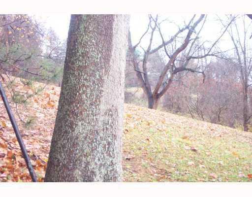 1180 Pinewood Road Irwin, PA 15642 - Photo 7 of 8 Land/Lot.