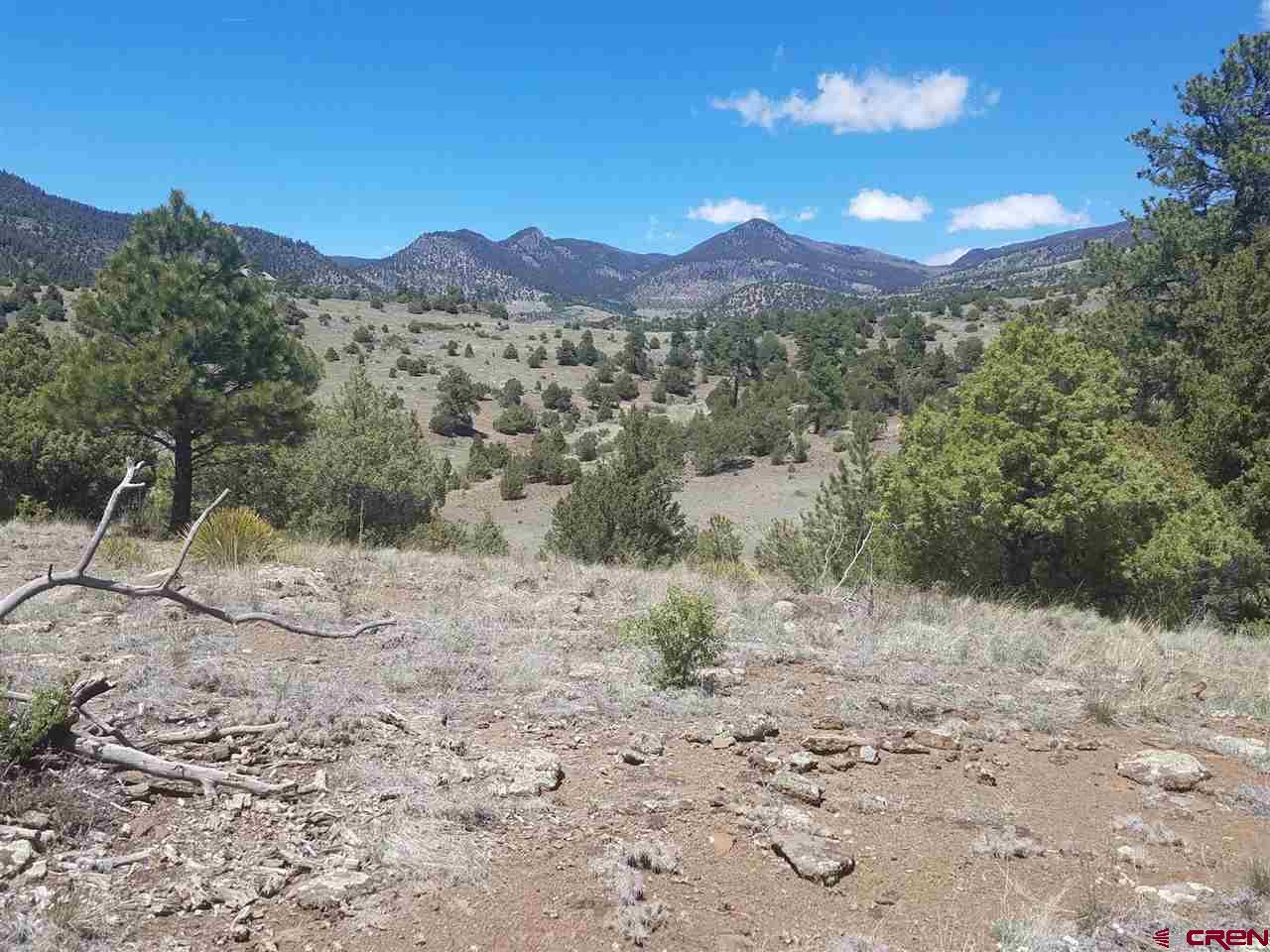 47 Silver Thread Circle South Fork, CO 81154 - Photo 11 of 15 a view of a backyard of a house with a mountain