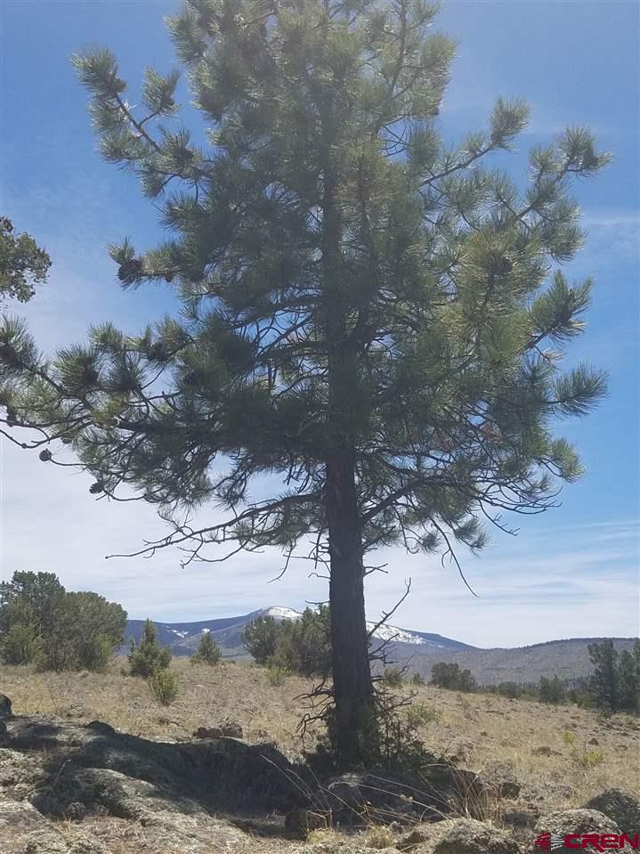 47 Silver Thread Circle South Fork, CO 81154 - Photo 13 of 15