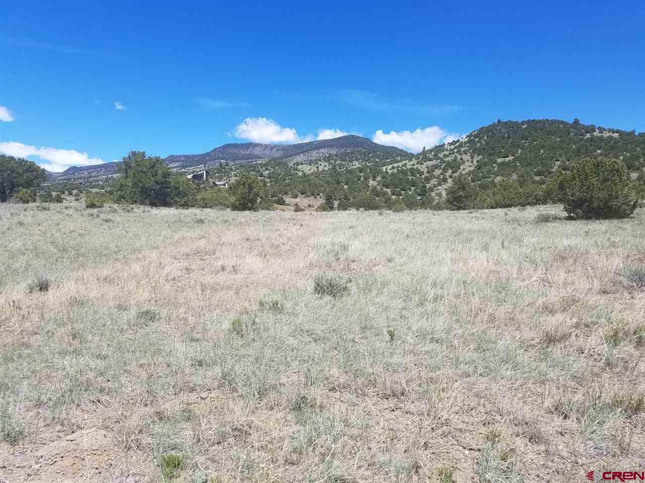 47 Silver Thread Circle South Fork, CO 81154 - Photo 3 of 15 a view of a dry yard