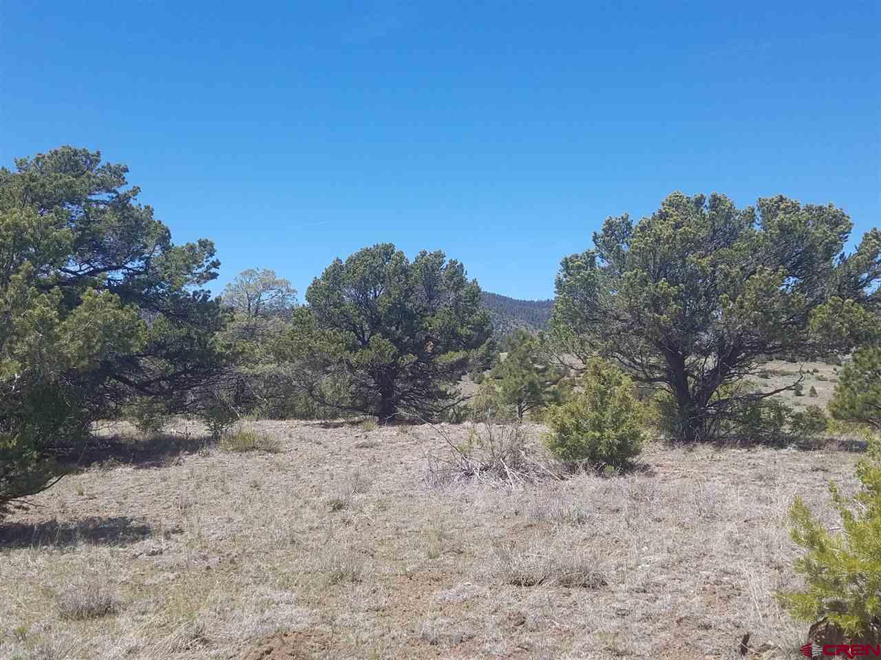 47 Silver Thread Circle South Fork, CO 81154 - Photo 8 of 15 a view of a dry yard with trees