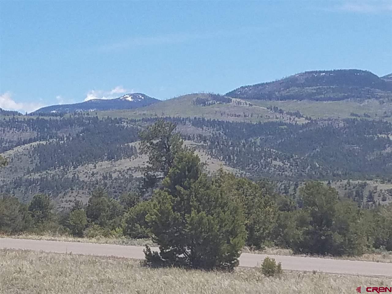 47 Silver Thread Circle South Fork, CO 81154 - Photo 10 of 15 a view of a mountain range with trees in the background