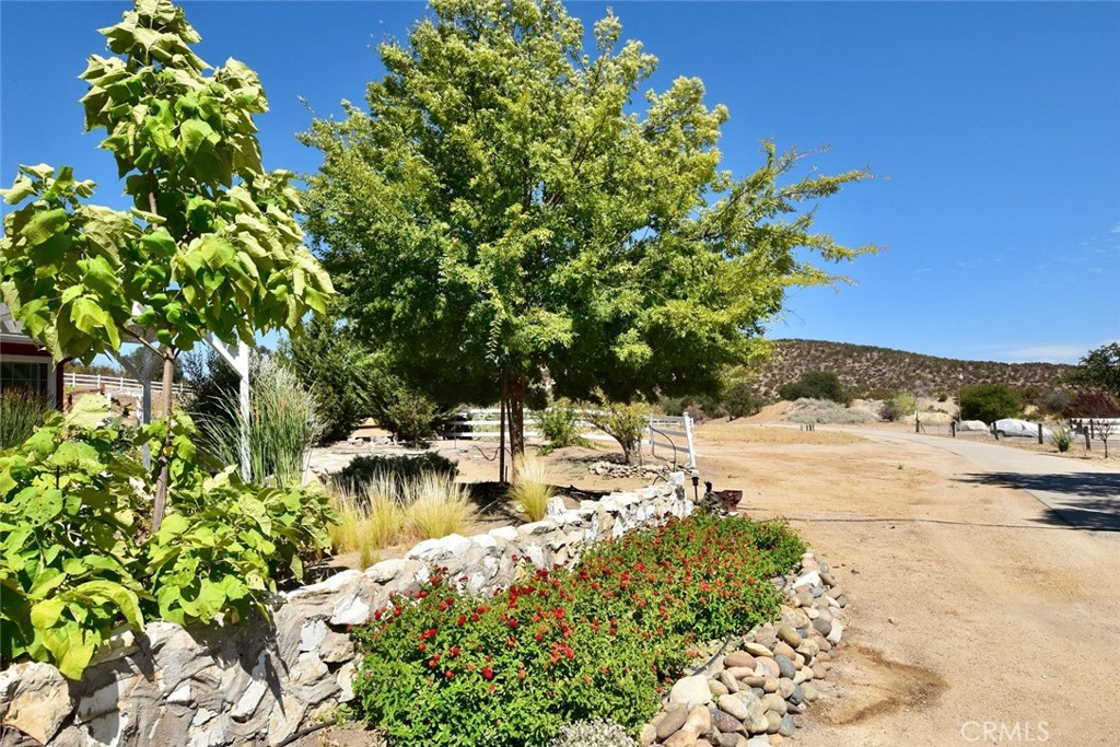 76980 San Antonio Road Bradley, CA 93426 - Photo 42 of 54 a view of a yard with a tree