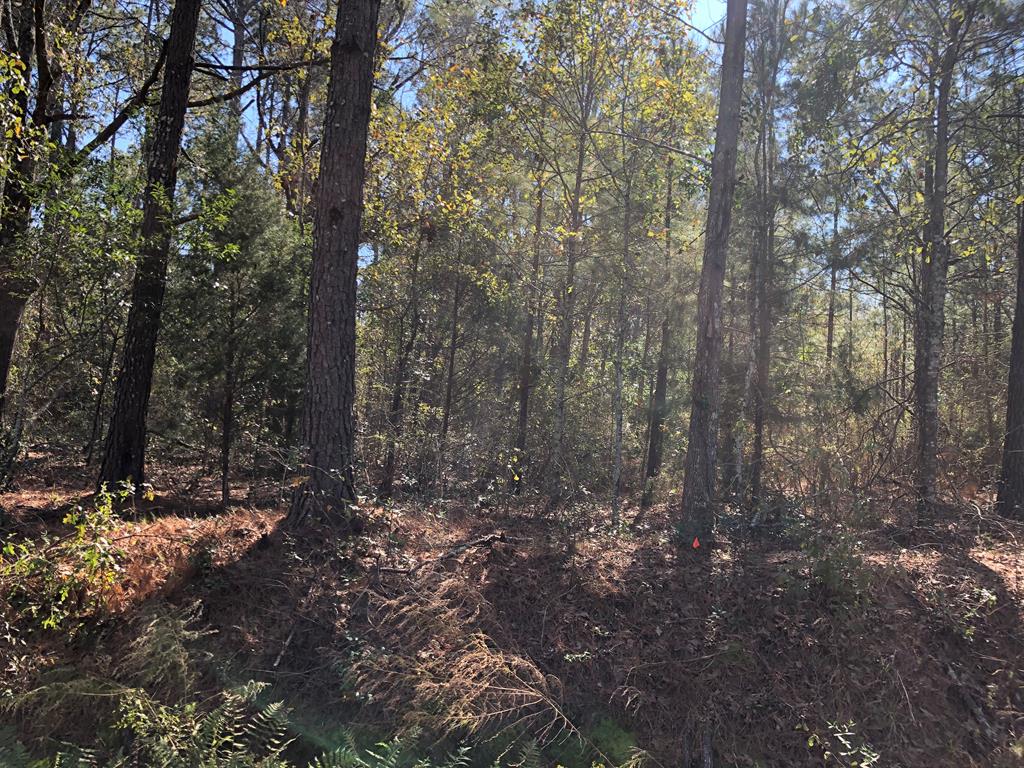 Lot 5 Rowland Road Dothan, AL 36301 - Photo 1 of 1