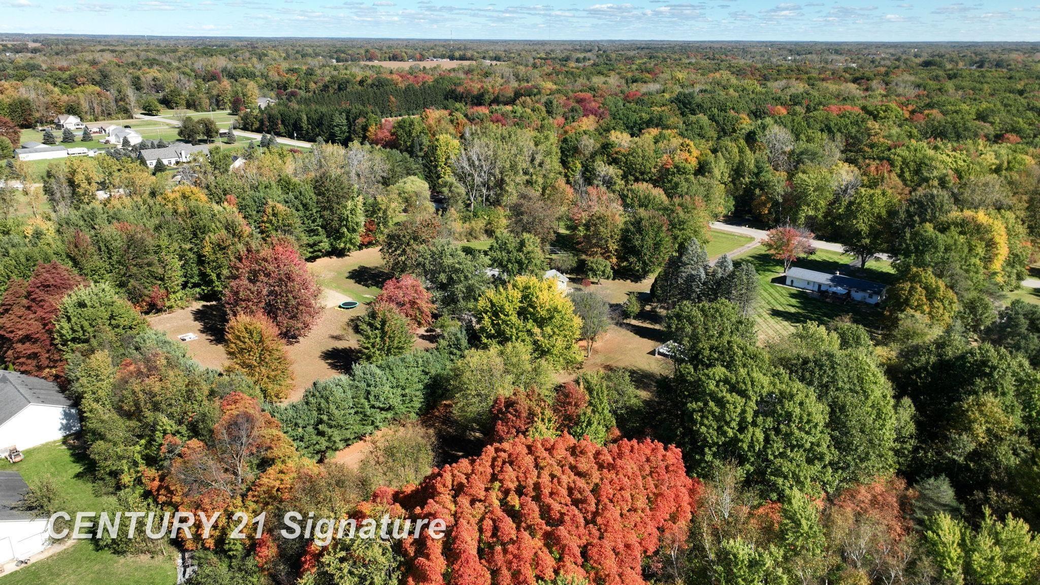 11267 North Webster Road Clio, MI 48420 - Photo 36 of 41