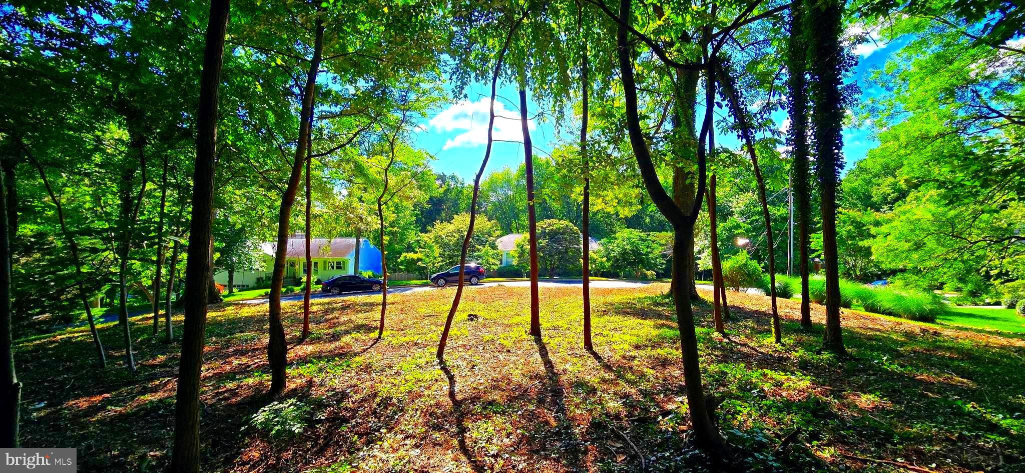 a view of an outdoor space and swimming pool