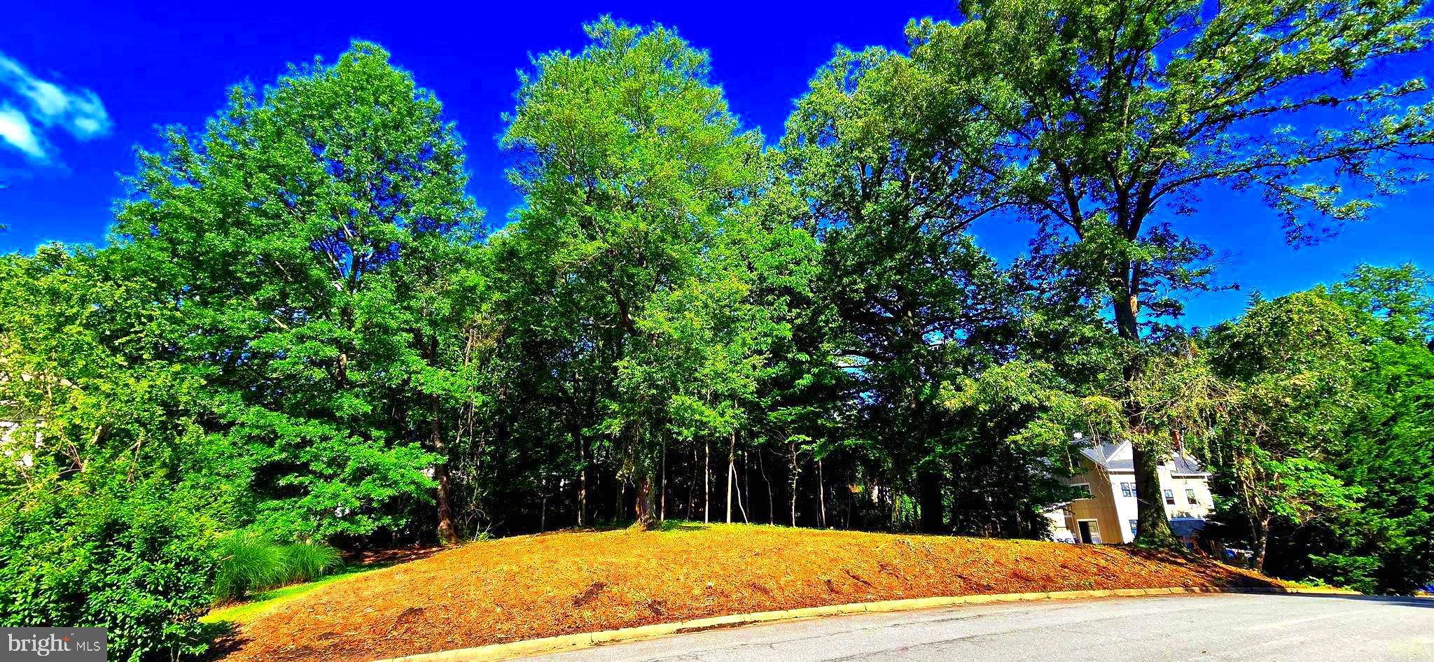 1622 Crescent Lane McLean, VA 22101 - Photo 2 of 4 a view of a backyard of the house