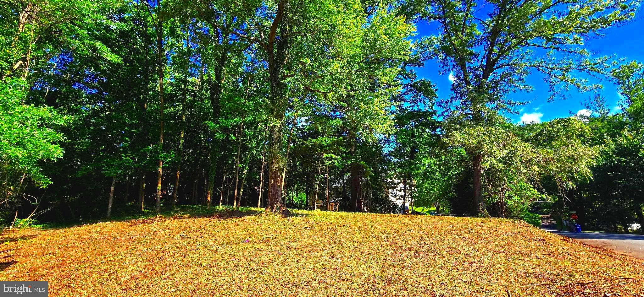 1622 Crescent Lane McLean, VA 22101 - Photo 3 of 4 a backyard of a house with large trees
