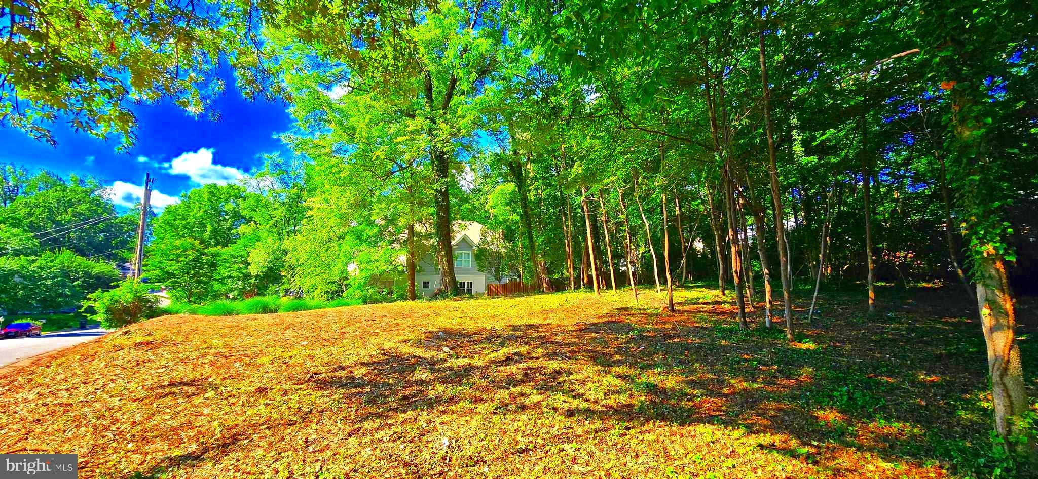 1622 Crescent Lane McLean, VA 22101 - Photo 4 of 4 a backyard of a house with lots of green space and fountain