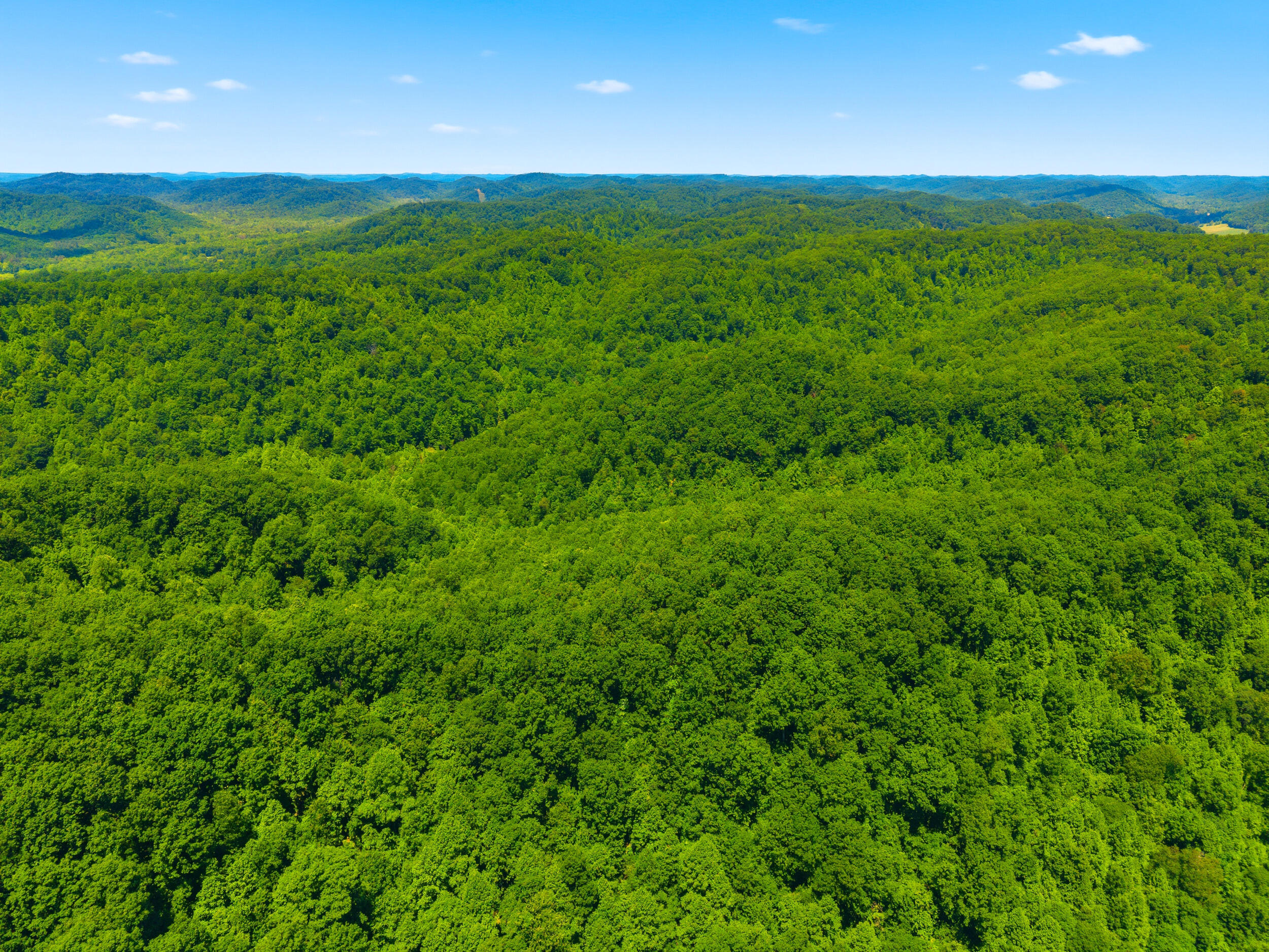 400 Clearfork Road Morehead, KY 40351 - Photo 45 of 72 47_dji_20260602155853_0043_d