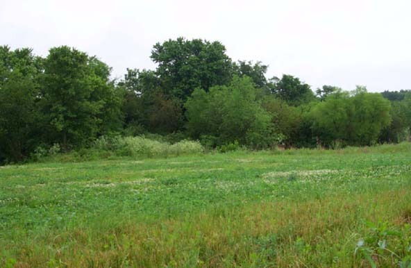 1719 Russell Branch Road Eminence, KY 40019 - Photo 1 of 1 Primary Photo