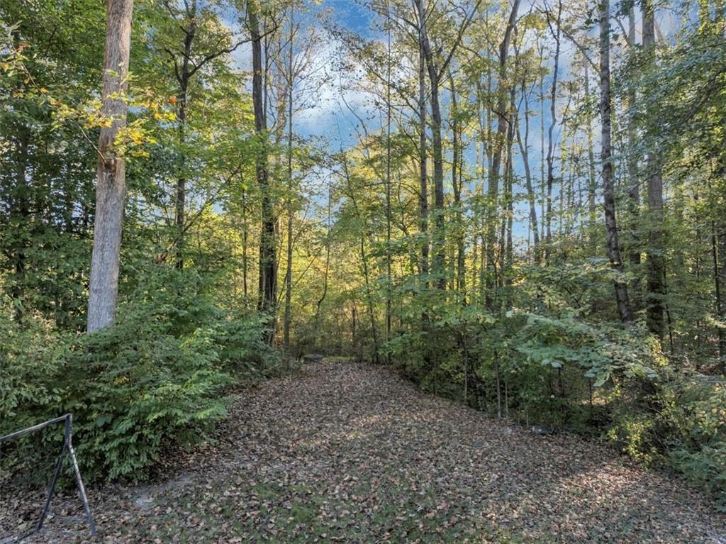2710 Braemore Place Powder Springs, GA 30127 - Photo 49 of 53 a view of a forest with trees