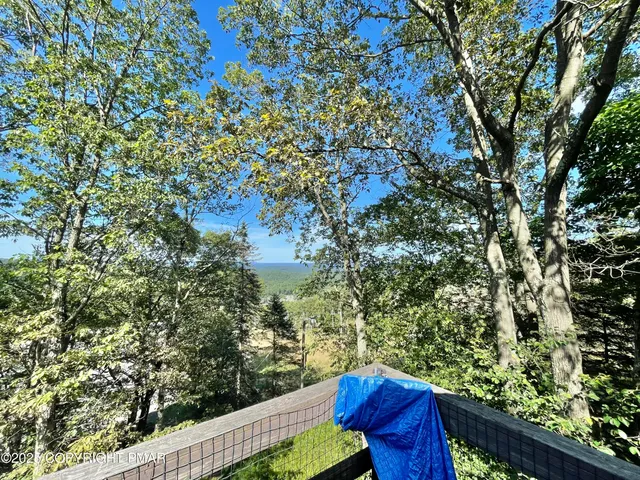 a view of a yard with a tree