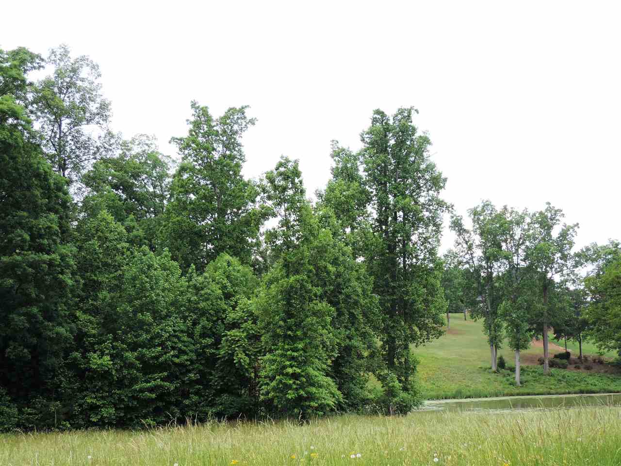 516 Willbrook Court Inman, SC 29349 - Photo 6 of 9