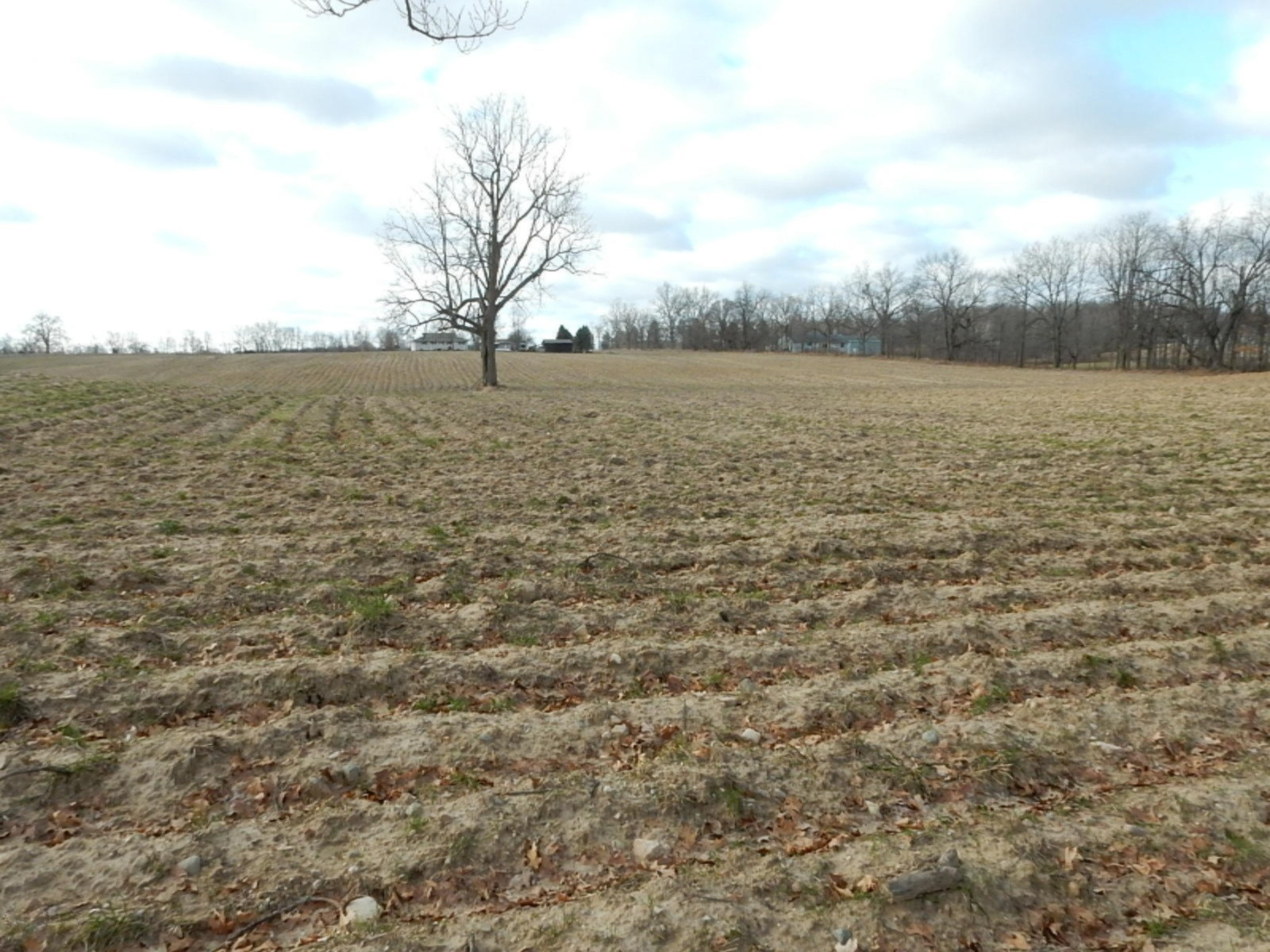 10023 Towner Road Portland, MI 48875 - Photo 11 of 18 DSCN3979